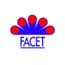 FACET 1369119U - PLATINO